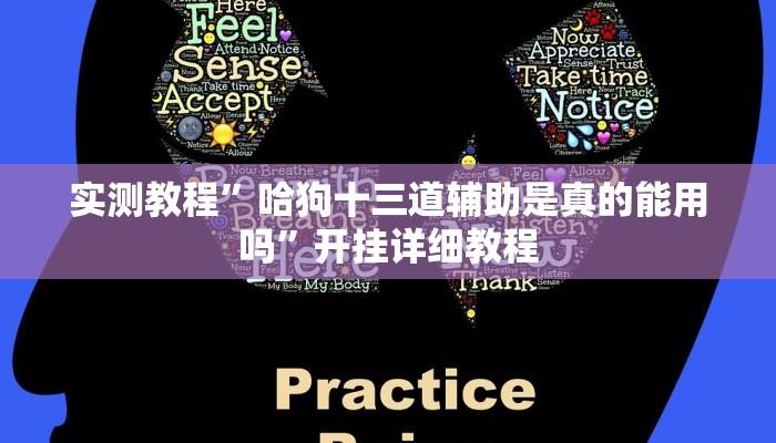 实测教程”哈狗十三道辅助是真的能用吗”开挂详细教程 实测教程”哈狗十三道辅助是真的能用吗”开挂详细教程