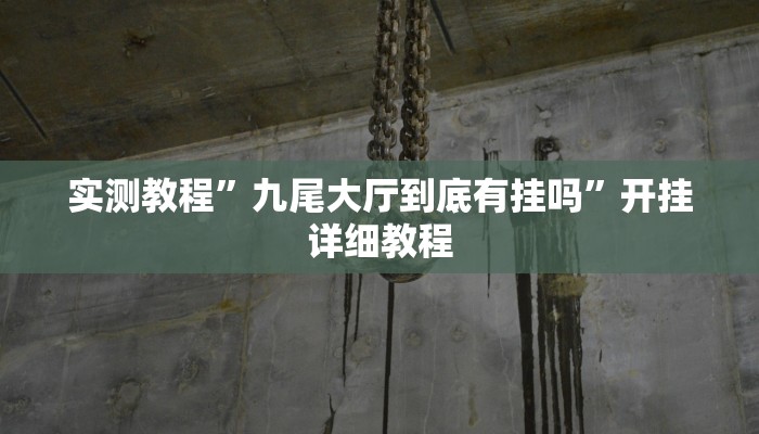 实测教程”九尾大厅到底有挂吗”开挂详细教程 实测教程”九尾大厅到底有挂吗”开挂详细教程