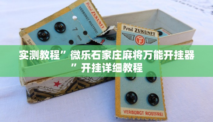 实测教程”微乐石家庄麻将万能开挂器”开挂详细教程 实测教程”微乐石家庄麻将万能开挂器”开挂详细教程