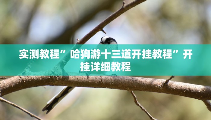 实测教程”哈狗游十三道开挂教程”开挂详细教程 实测教程”哈狗游十三道开挂教程”开挂详细教程