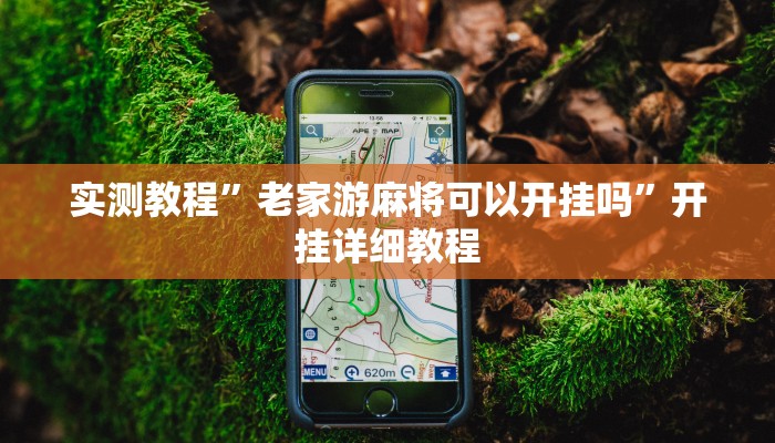 实测教程”老家游麻将可以开挂吗”开挂详细教程 实测教程”老家游麻将可以开挂吗”开挂详细教程