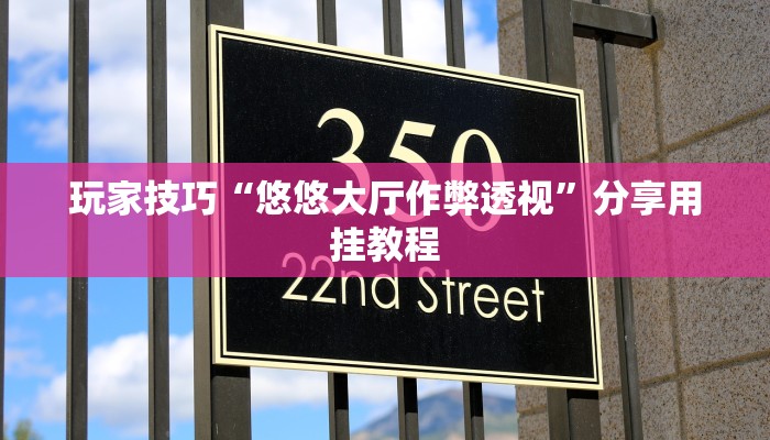 玩家技巧“悠悠大厅作弊透视”分享用挂教程 玩家技巧“悠悠大厅作弊透视”分享用挂教程