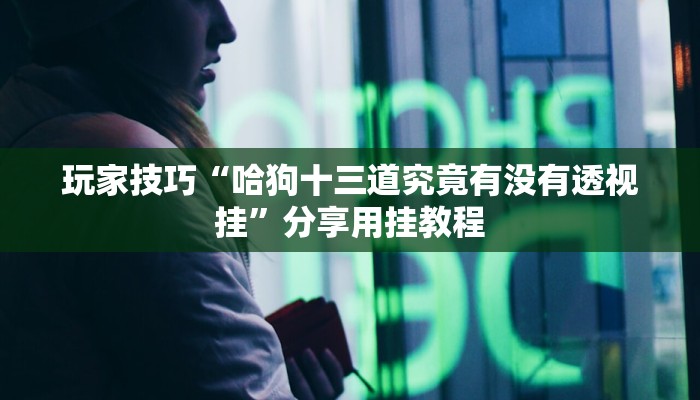 玩家技巧“哈狗十三道究竟有没有透视挂”分享用挂教程 玩家技巧“哈狗十三道究竟有没有透视挂”分享用挂教程