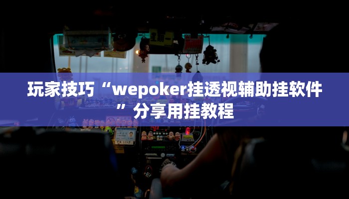 玩家技巧“wepoker挂透视辅助挂软件”分享用挂教程 玩家技巧“wepoker挂透视辅助挂软件”分享用挂教程