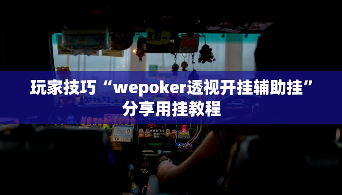 玩家技巧“wepoker透视开挂辅助挂”分享用挂教程 玩家技巧“wepoker透视开挂辅助挂”分享用挂教程