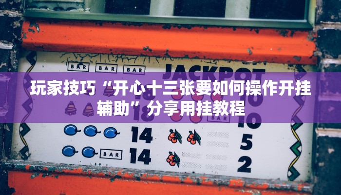 玩家技巧“开心十三张要如何操作开挂辅助”分享用挂教程 玩家技巧“开心十三张要如何操作开挂辅助”分享用挂教程