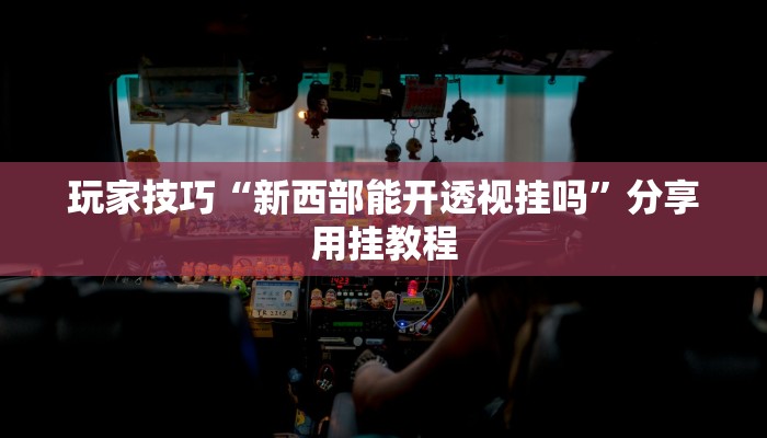 玩家技巧“新西部能开透视挂吗”分享用挂教程 玩家技巧“新西部能开透视挂吗”分享用挂教程