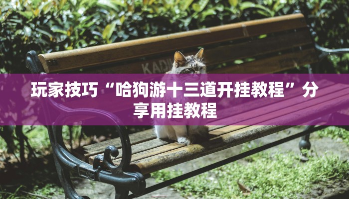 玩家技巧“哈狗游十三道开挂教程”分享用挂教程 玩家技巧“哈狗游十三道开挂教程”分享用挂教程
