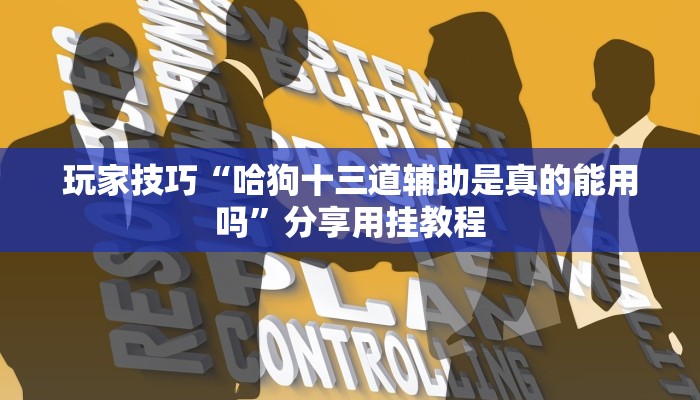 玩家技巧“哈狗十三道辅助是真的能用吗”分享用挂教程 玩家技巧“哈狗十三道辅助是真的能用吗”分享用挂教程