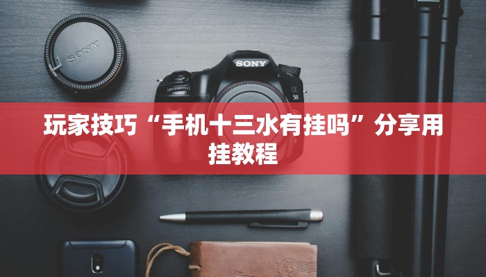 玩家技巧“手机十三水有挂吗”分享用挂教程 玩家技巧“手机十三水有挂吗”分享用挂教程
