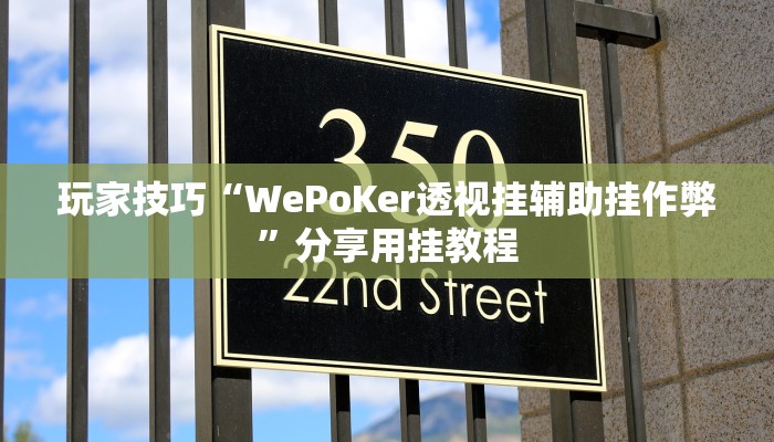 玩家技巧“WePoKer透视挂辅助挂作弊”分享用挂教程 玩家技巧“WePoKer透视挂辅助挂作弊”分享用挂教程