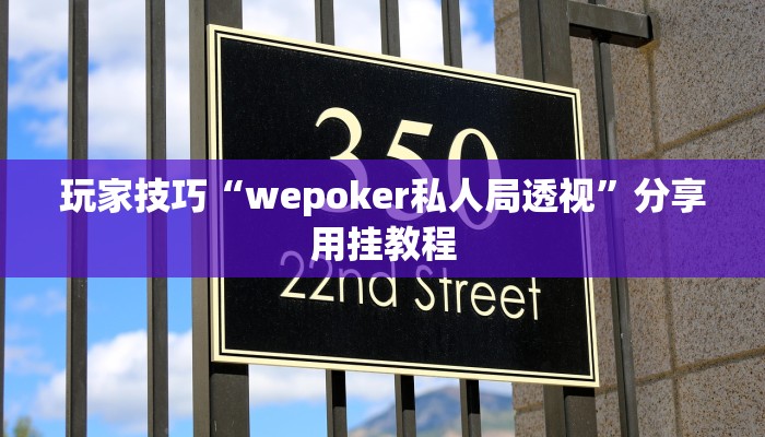 玩家技巧“wepoker私人局透视”分享用挂教程 玩家技巧“wepoker私人局透视”分享用挂教程