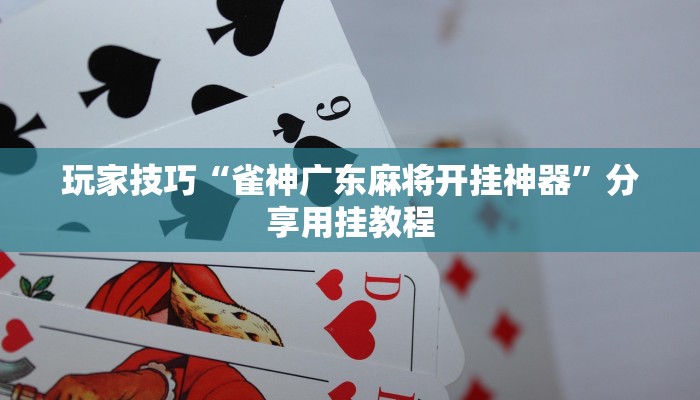 玩家技巧“雀神广东麻将开挂神器”分享用挂教程 玩家技巧“雀神广东麻将开挂神器”分享用挂教程