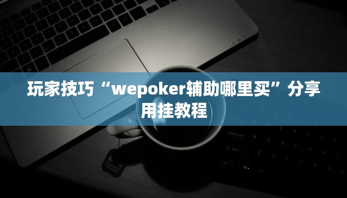 玩家技巧“wepoker辅助哪里买”分享用挂教程 玩家技巧“wepoker辅助哪里买”分享用挂教程