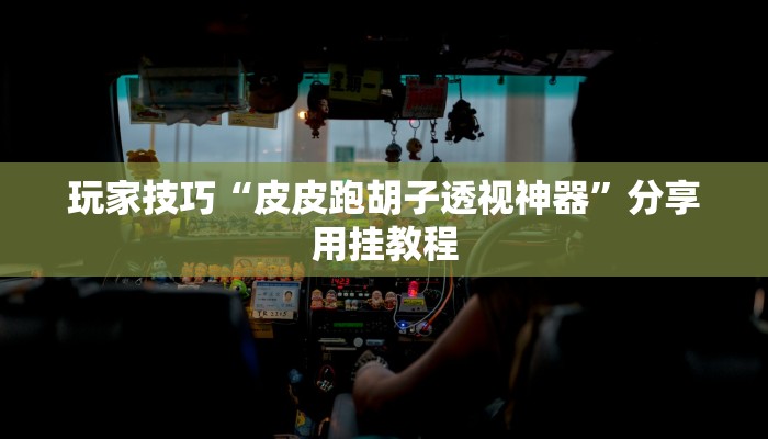 玩家技巧“皮皮跑胡子透视神器”分享用挂教程 玩家技巧“皮皮跑胡子透视神器”分享用挂教程