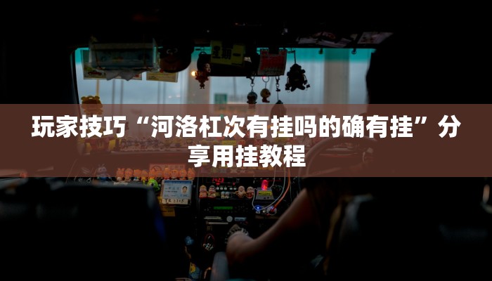 玩家技巧“河洛杠次有挂吗的确有挂”分享用挂教程 玩家技巧“河洛杠次有挂吗的确有挂”分享用挂教程