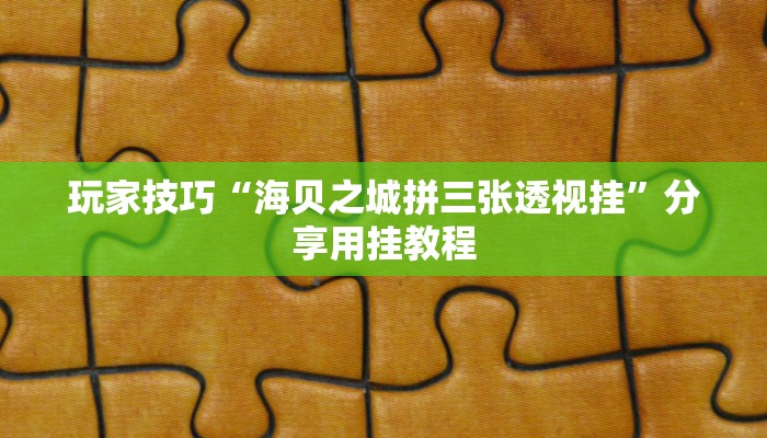 玩家技巧“海贝之城拼三张透视挂”分享用挂教程 玩家技巧“海贝之城拼三张透视挂”分享用挂教程