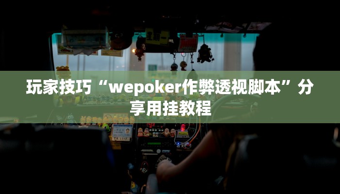 玩家技巧“wepoker作弊透视脚本”分享用挂教程
