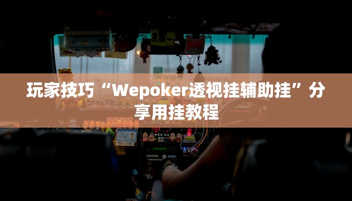 玩家技巧“Wepoker透视挂辅助挂”分享用挂教程 玩家技巧“Wepoker透视挂辅助挂”分享用挂教程