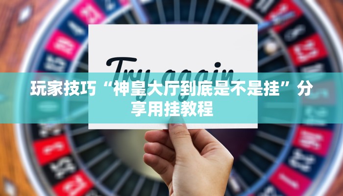 玩家技巧“神皇大厅到底是不是挂”分享用挂教程 玩家技巧“神皇大厅到底是不是挂”分享用挂教程