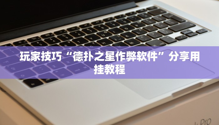 玩家技巧“德扑之星作弊软件”分享用挂教程 玩家技巧“德扑之星作弊软件”分享用挂教程