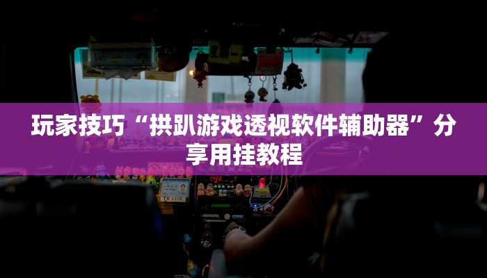 玩家技巧“拱趴游戏透视软件辅助器”分享用挂教程 玩家技巧“拱趴游戏透视软件辅助器”分享用挂教程