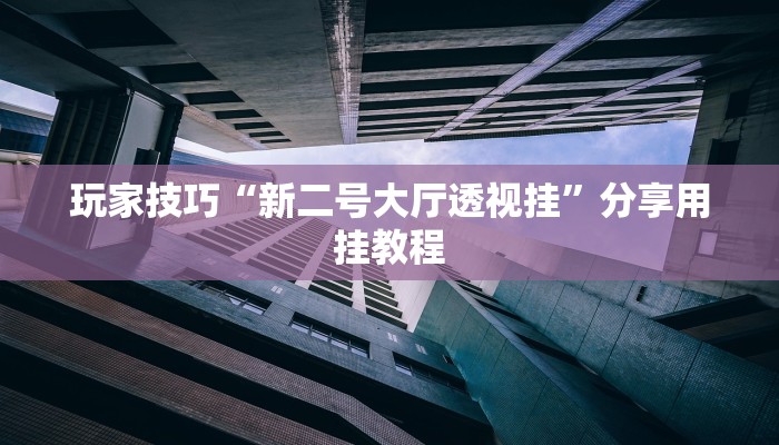玩家技巧“新二号大厅透视挂”分享用挂教程 玩家技巧“新二号大厅透视挂”分享用挂教程