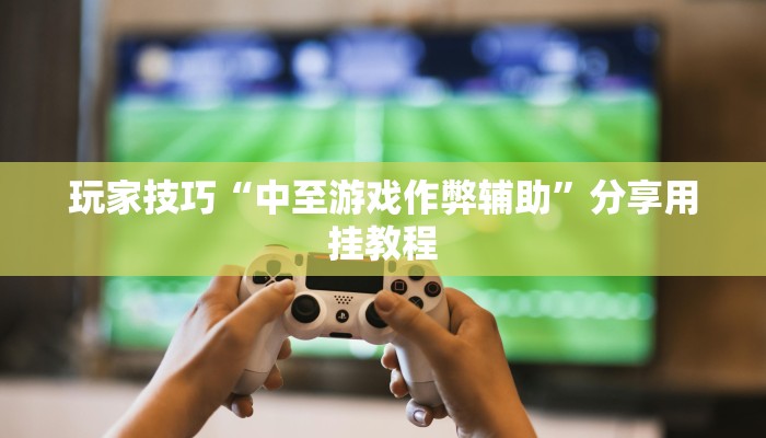玩家技巧“中至游戏作弊辅助”分享用挂教程 玩家技巧“中至游戏作弊辅助”分享用挂教程