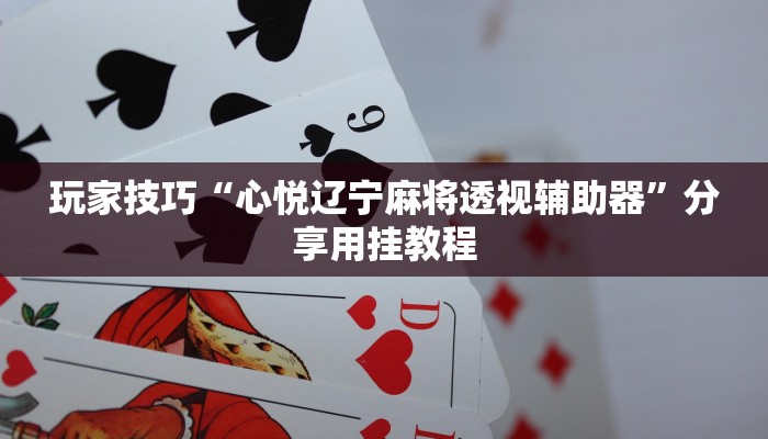 玩家技巧“心悦辽宁麻将透视辅助器”分享用挂教程 玩家技巧“心悦辽宁麻将透视辅助器”分享用挂教程