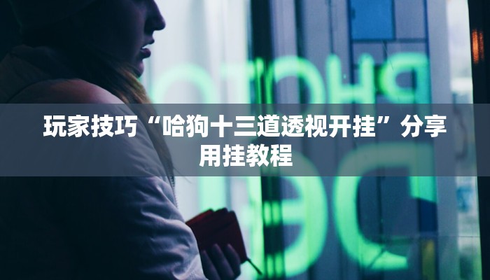 玩家技巧“哈狗十三道透视开挂”分享用挂教程 玩家技巧“哈狗十三道透视开挂”分享用挂教程