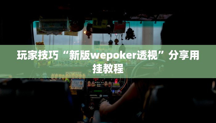 玩家技巧“新版wepoker透视”分享用挂教程 玩家技巧“新版wepoker透视”分享用挂教程