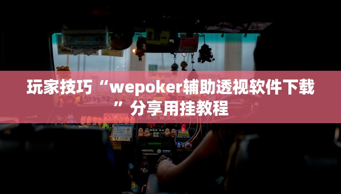 玩家技巧“wepoker辅助透视软件下载”分享用挂教程