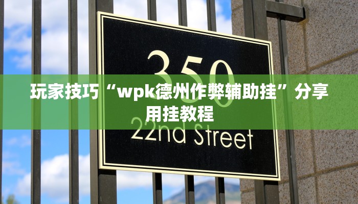 玩家技巧“wpk德州作弊辅助挂”分享用挂教程 玩家技巧“wpk德州作弊辅助挂”分享用挂教程