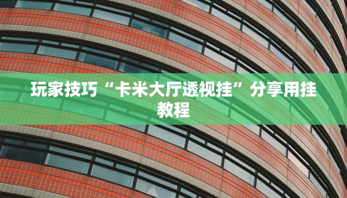 玩家技巧“卡米大厅透视挂”分享用挂教程 玩家技巧“卡米大厅透视挂”分享用挂教程