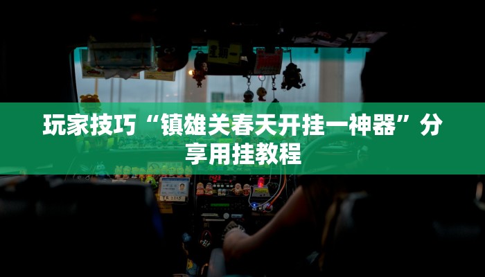 玩家技巧“镇雄关春天开挂一神器”分享用挂教程