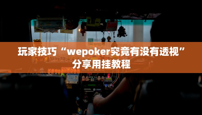 玩家技巧“wepoker究竟有没有透视”分享用挂教程 玩家技巧“wepoker究竟有没有透视”分享用挂教程