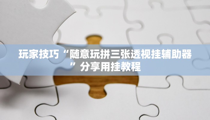 玩家技巧“随意玩拼三张透视挂辅助器”分享用挂教程 玩家技巧“随意玩拼三张透视挂辅助器”分享用挂教程