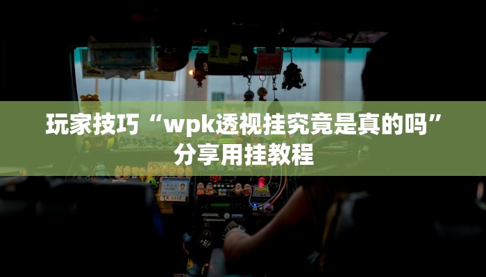 玩家技巧“wpk透视挂究竟是真的吗”分享用挂教程 玩家技巧“wpk透视挂究竟是真的吗”分享用挂教程