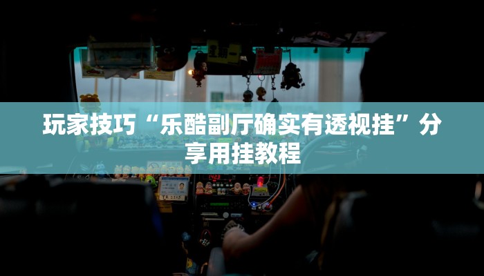 玩家技巧“乐酷副厅确实有透视挂”分享用挂教程 玩家技巧“乐酷副厅确实有透视挂”分享用挂教程