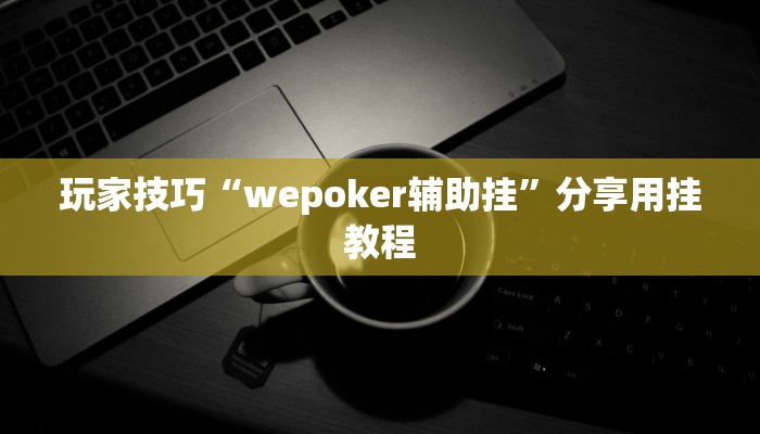 玩家技巧“wepoker辅助挂”分享用挂教程