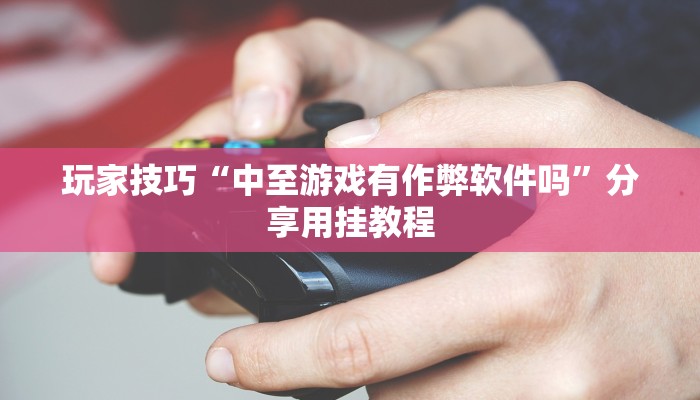 玩家技巧“中至游戏有作弊软件吗”分享用挂教程 玩家技巧“中至游戏有作弊软件吗”分享用挂教程