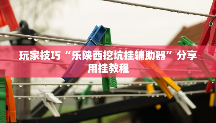 玩家技巧“乐陕西挖坑挂辅助器”分享用挂教程