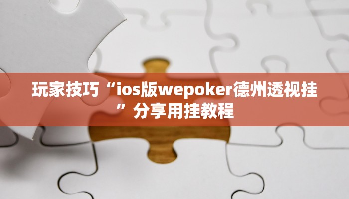 玩家技巧“ios版wepoker德州透视挂”分享用挂教程 玩家技巧“ios版wepoker德州透视挂”分享用挂教程