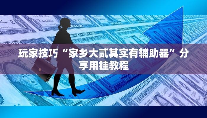 玩家技巧“家乡大贰其实有辅助器”分享用挂教程
