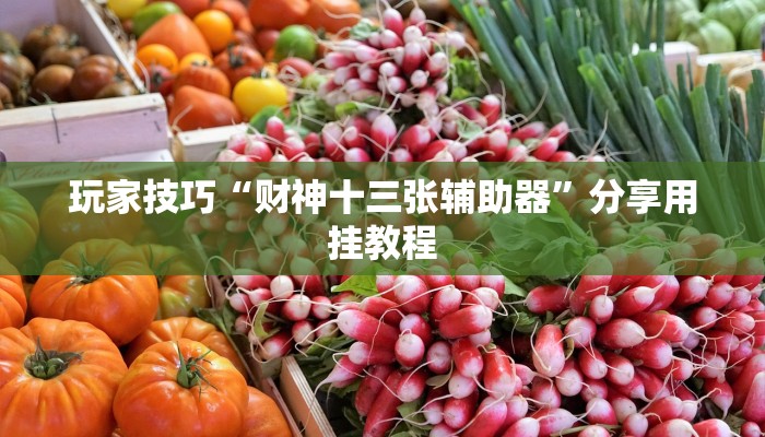 玩家技巧“财神十三张辅助器”分享用挂教程 玩家技巧“财神十三张辅助器”分享用挂教程