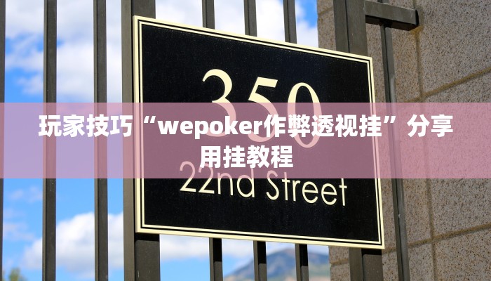 玩家技巧“wepoker作弊透视挂”分享用挂教程 玩家技巧“wepoker作弊透视挂”分享用挂教程