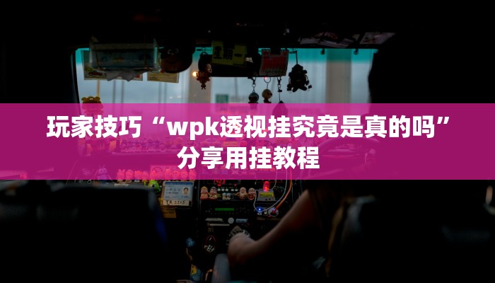 玩家技巧“wpk透视挂究竟是真的吗”分享用挂教程 玩家技巧“wpk透视挂究竟是真的吗”分享用挂教程