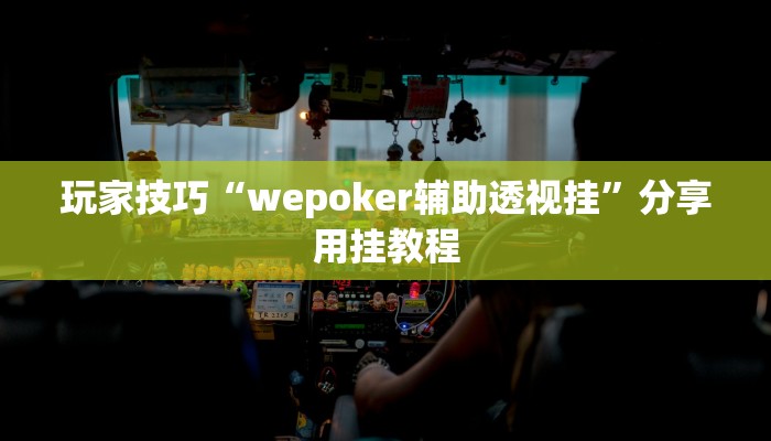 玩家技巧“wepoker辅助透视挂”分享用挂教程 玩家技巧“wepoker辅助透视挂”分享用挂教程