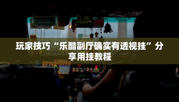 玩家技巧“乐酷副厅确实有透视挂”分享用挂教程 玩家技巧“乐酷副厅确实有透视挂”分享用挂教程