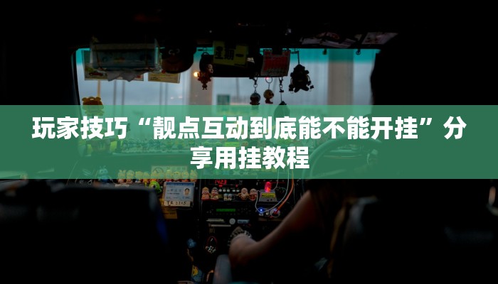 玩家技巧“靓点互动到底能不能开挂”分享用挂教程 玩家技巧“靓点互动到底能不能开挂”分享用挂教程